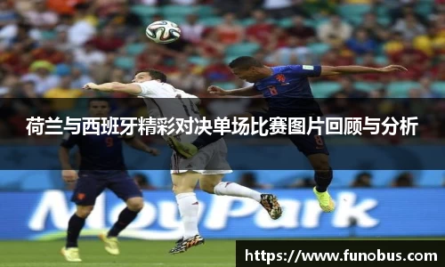 zoty中欧官网
