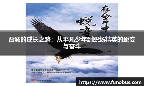 贾诚的成长之路：从平凡少年到职场精英的蜕变与奋斗