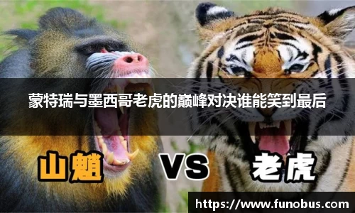 蒙特瑞与墨西哥老虎的巅峰对决谁能笑到最后