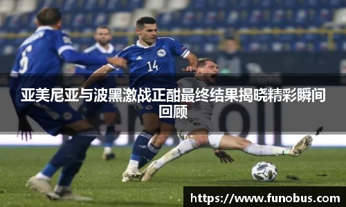 亚美尼亚与波黑激战正酣最终结果揭晓精彩瞬间回顾